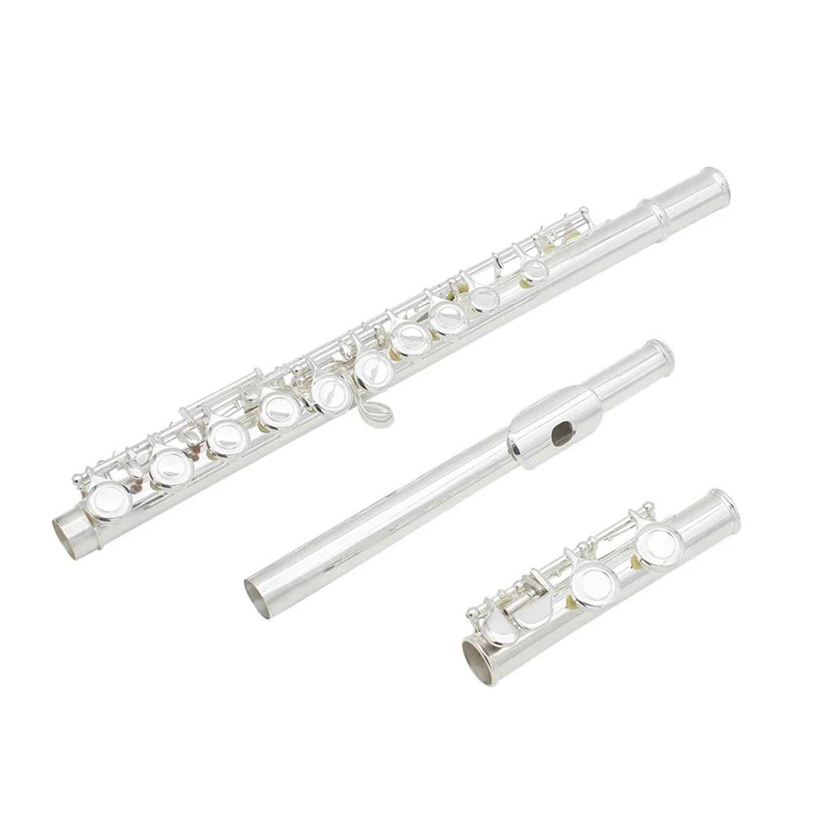 Amazon.co.jp: フルート楽器 メタルフルートプロフェッショナル 16 穴