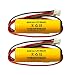 (2 Pack) BST D-AA900BT Custom-332 Dantona ELB CS01 Ni-CD AA 900mAh 1.2v Battery Exit Sign Emergency Light OSA268 Lithonia EXR LED EL M6 Unitech AA900mAh 1.2v