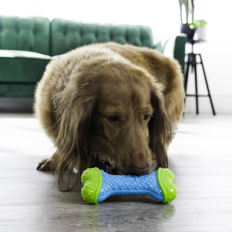 KONG CoreStrength Bone, Dog Dental Chew Toy, Durable, Multi-Layered Dog Toy with Textured Body for Teeth Cleaning - Image 2
