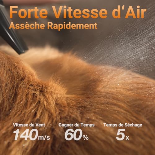 LIGIANT P40 Hundefön Blower, Ultra-Leise (40 dB Katzen-Modus), 3-in-1 Düsen, Einstellbare Geschwindigkeit & Temperatur, Negativ-Ionen-Technologie, Tragbar & All-in-One-Aufbewahrung für Hunde & Katzen