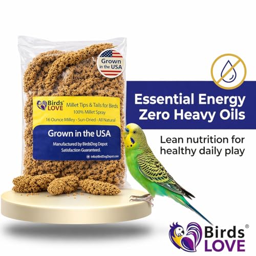 Birds LOVE Millet Tips & Tails for Birds - Parakeets, Cockatiels, Lovebirds, Finches, Budgies, Canaries, Cockatoos - Natural & Healthy Millet for Birds - Parakeet Food & Treats for All Parrots, 1lb - Image 6