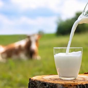 Laciate Red Milk 3.2% Fat UHT Milk1000 Mililiter x 12 Boxes