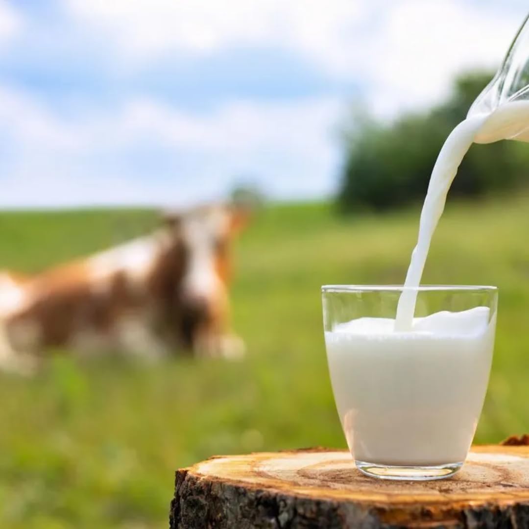 Arla Haltbare Weidemilch 3,8% Fett Kuhmilch Milch 1000 Milliliter X 12 STÜCK