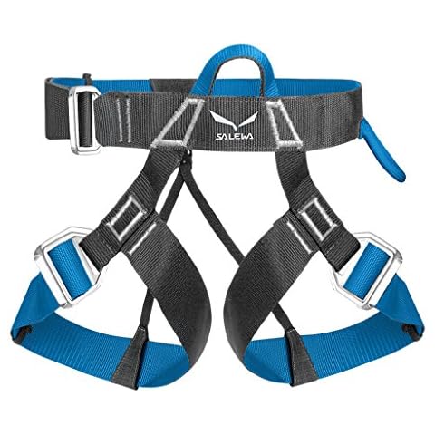 Salewa Via Ferrata Evo Hüftklettergurt Cover