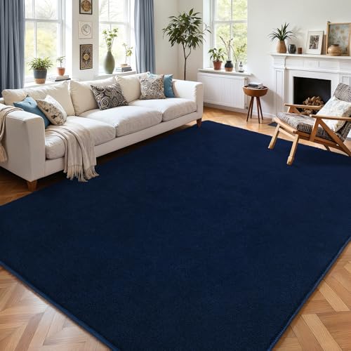 AROGAN Modern Shag Area Rug for Bedroom, 4x6 Feet Washable