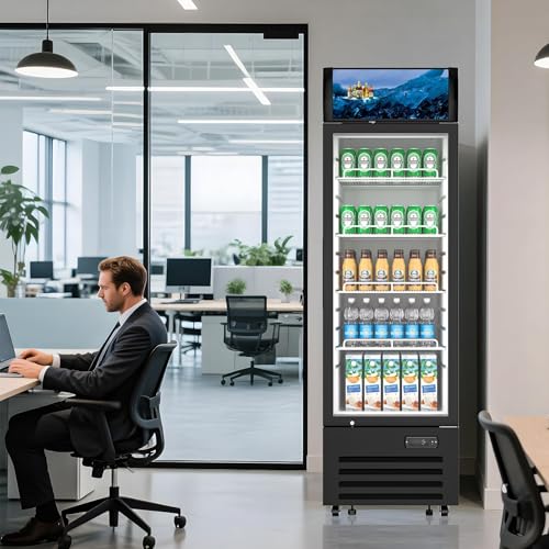 Commercial Beverage Refrigerator 1 Glass Door, 8.8 Cu.ft Commercial Upright Display Merchandiser Refrigerator, Beverage Cooler with LED Light, Lock Wheels, Adjustable Shelf for Bar, Shop - Image 3