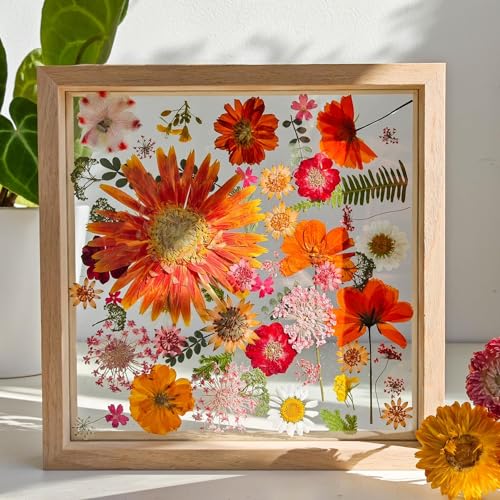 Pressed Flower Frame - Wooden Double Glass Frame with Dried