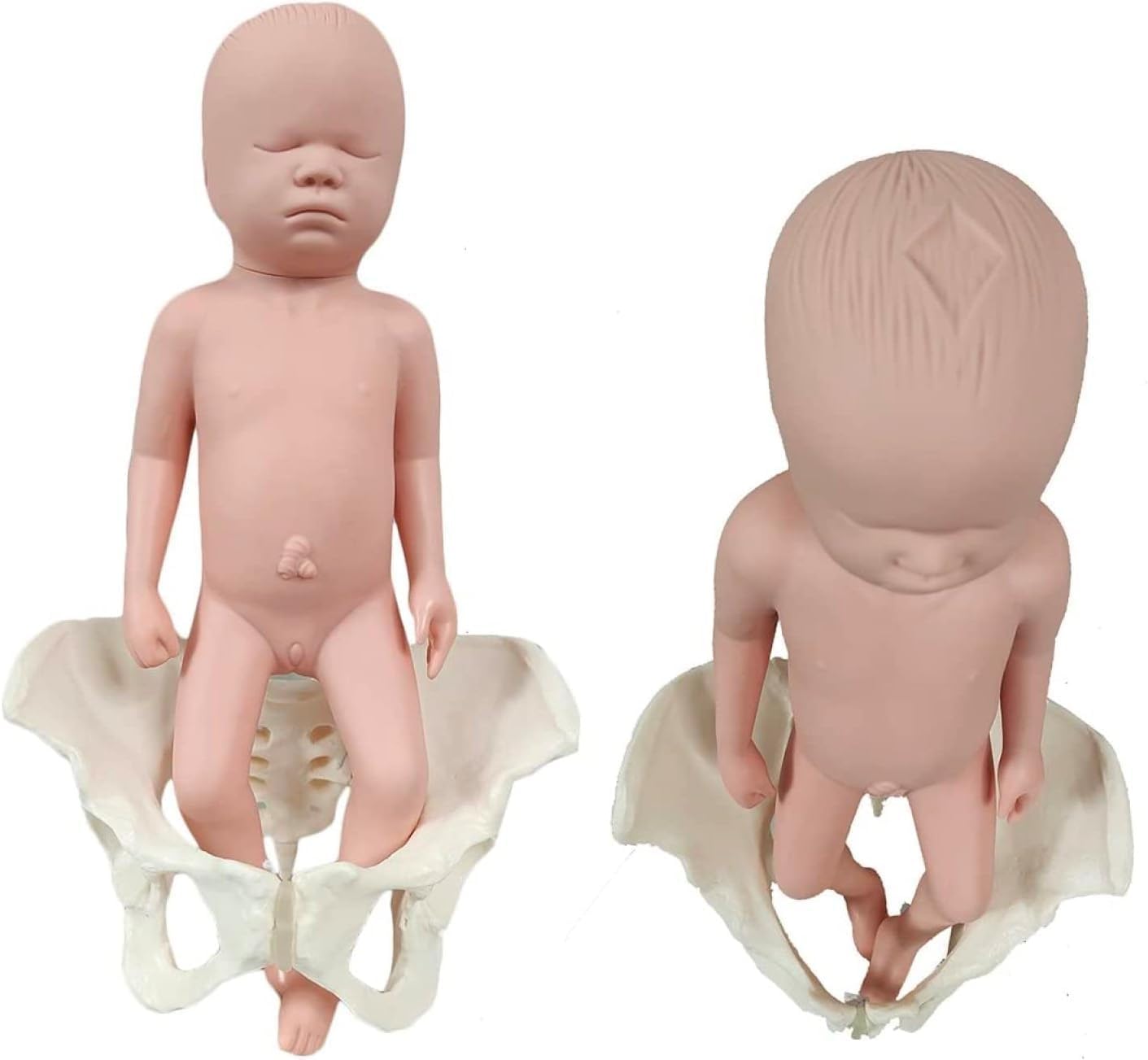 Model miednicy przedstawiający poród naturalnej wielkości, model miednicy kobiety w ciąży, spojenie noworodka i miednicy-łonowe, anatomiczny manekin do symulatora porodu do wyświetlania w badaniach.