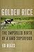 Golden Rice: The Imperiled Birth of a GMO Superfood