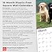 Labrador Retrievers | 2026 12 x 24 Inch (Hanging) Monthly Square Wall Calendar | Plastic-Free | BrownTrout | Animals Dog Breeds