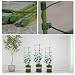 XQK 3PCS Marco de Soporte de Plantas trepadoras Jaula de Soporte de...