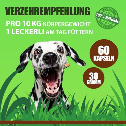 Saint Nutrition® Gras + Kotfresser Leckerlis für Hunde – bei Sodbrennen & Magen Darm nach Fressen von KOT – Verdauungssnacks für Hund – bessere Verdauung