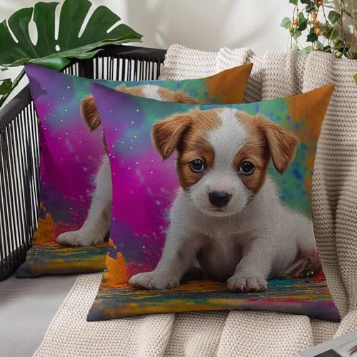 �N�b�V�����J�o�[ 45 x 45 cm ��������� ���l�����ۂ� ���G��ǂ� 2���Z�b�g �\�t�@�w���� �������J�o�[ �����` �B���t�@�X�i�[ �ې�OK �C���e���A ��������(�J���t��) L#643