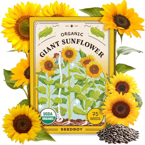 Seedboy Organic Giant Mammoth Grey Sunflower Seeds