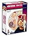 4D Vision Human Anatomy - Pregnancy Anatomical Model