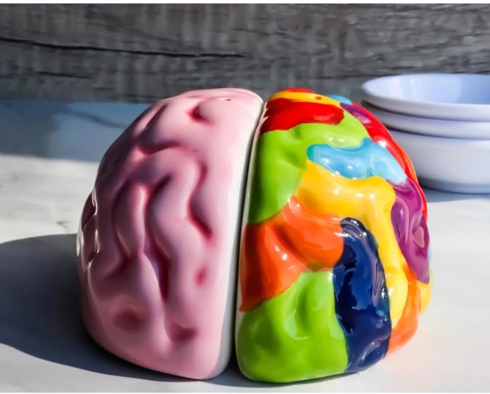 Set of 1 Right and Left Brains Magnetic Ceramic Salt Pepper Shakers