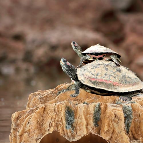 Plataforma de bronceado para tortugas y refugio de resina para hábitat 6