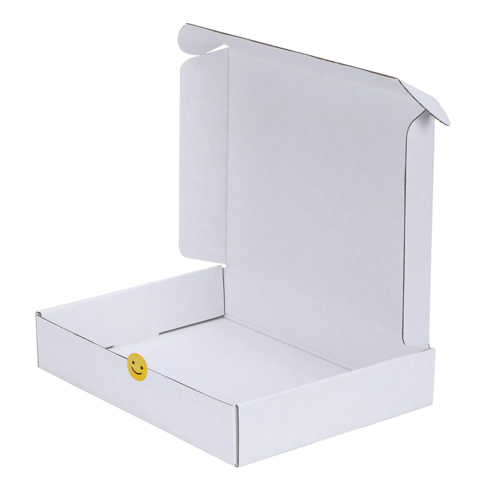 Boîtes d'expédition blanches antichocs 280x204x51mm avec fermeture sécurisée