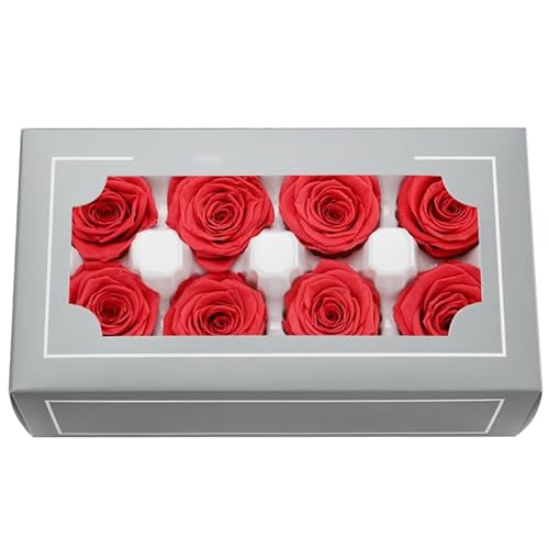 O[h4~5cmvU[uh[YwbhAgbvO[hi`G^[iA[YAsł̃[Y3~5N܂B̓Ao^Cf[Aav[gAEFfBOz[p[eB[̑ADIY̕Ki(AeB[Nbh)