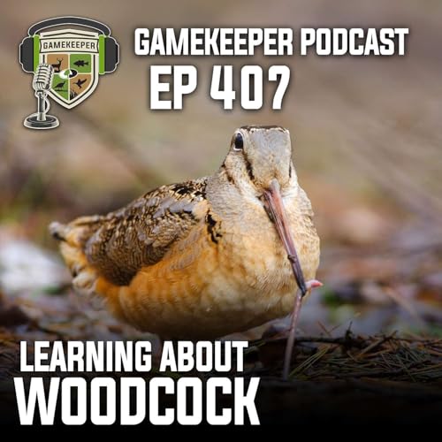 EP:407 | Learning About Woodcock