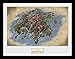 Produktbild GB Eye Ltd Elder Scrolls Online morrowind, Map Kunstdruck, gerahmt, 30 x 40 cm, verschiedene
