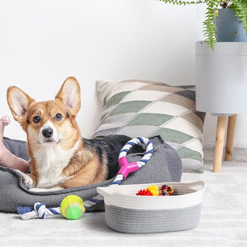 TIMEYARD Aufbewahrungskorb, Korb Geflochten, Geschenkkorb Leer, SpielzeugKorb, Baumwolle Organizer Korb für Windeln, Handtücher, Snacks, Hundespielzeug, Osterkorb, 30 x 20 x 12 cm, Grau