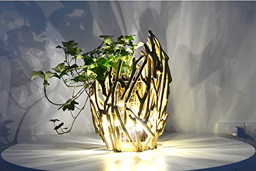 100% Handwork Natural Driftwood Wooden Decoration Vase with Hydroponics GlassJar - Image 7