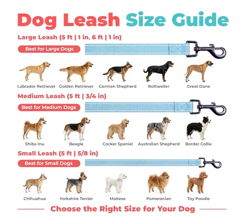 Image of Best Pet Supplies Voyager Reflective Dog Leash or Collar with Neoprene Handle, for Small, Medium, and Large Breed Puppies, Cute and Heavy Duty for Walking, Running and Training - Baby Blue (Leash), L