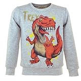 Kinder Dino Pullover | Sweatshirt Jungen | Winterpullover Dinosaurier | T-Rex Print | Baumwolle | Langarmshirt | Warmer Kinderpullover (DE/NL/SE/PL, Numerisch, 128, Regular, T-Rex 1 Grau)