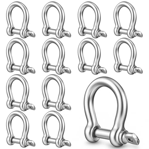 10 Pcs 1/2 Inch D Ring Shackle Rugged 5.5 Ton(12125 Lbs) Max Break Strength