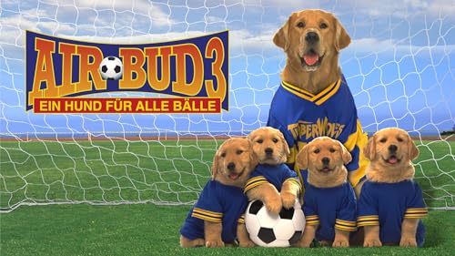 Air Bud 3 - Ein Hund für alle Bälle