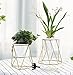 Flowerplus Modern Succulent Planter Pot 4 inch with Stand, Indoor Desktop Decor 4.33 inch Small White Ceramic Cactus Round Pot with Gold Metal Holder