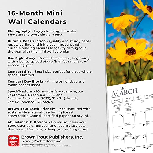 Wildflowers | 2023 7 X 14 Inch Monthly Mini Wall Calendar | Browntrout | Flower Outdoor Plant #TOP4