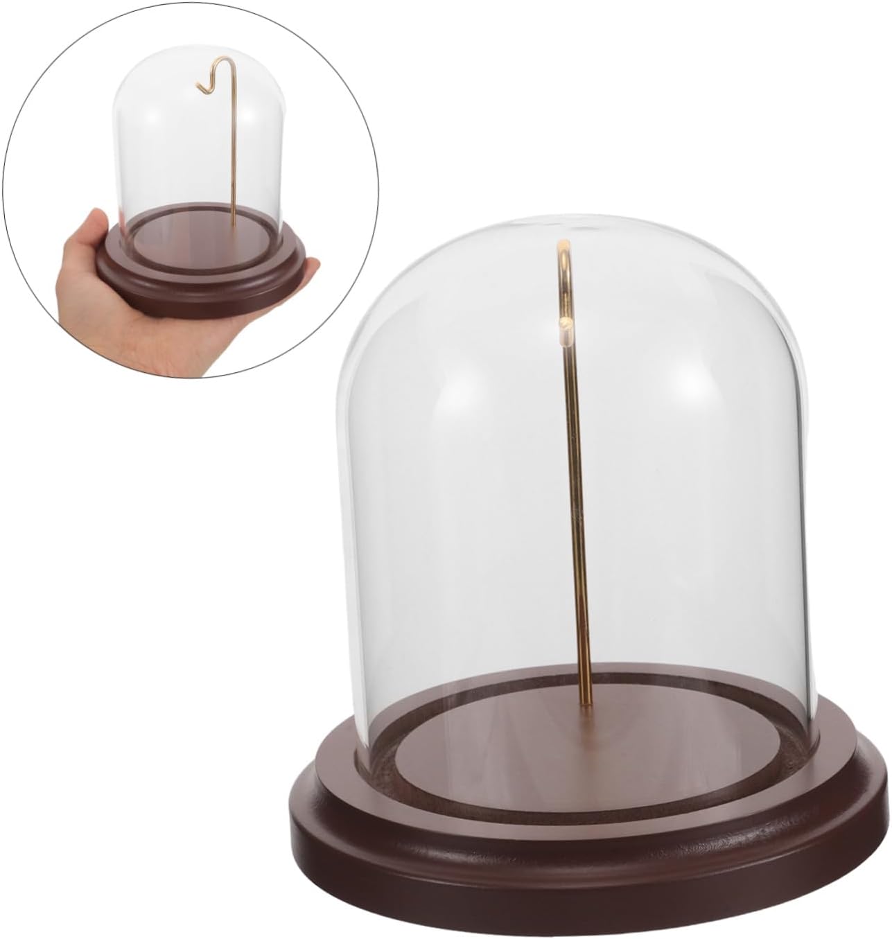 Ipetboom Pocket Watch Display Dome with Hook and Wood Base, Glass Cloche 3.1" X 4", Hanging Watch Display Case for Collectibles and Home Décor