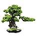 Simulationsbaum Künstlicher Baum im keramischen Topf Gefälschte Pflanze Dekoration Zen Garten Dekor Künstliche Bonsai Tree for Home Decorindoor, Desktopanzeige, 23.6 x 19,7 x 11 Zoll Künstlicher Bonsa