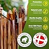 Nordicare Teak Oil for Outdoor Furniture, 34 Oz – Outdoor Wood Oil & Sealer for Teak, Acacia, Oak & More, Helps Restore Weathered Wood and Protect Against Drying, Easy to Apply #5