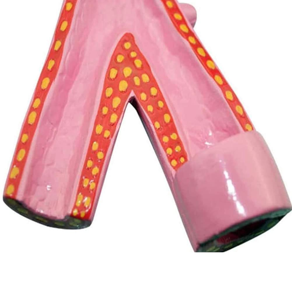 Modelo De Vaso Arterial Humano,Modelo De Anatomía Anatómica Humana,Material De Resina Sintética Anatomía Anatómica Equipo De Suministros De Enseñanza Médica