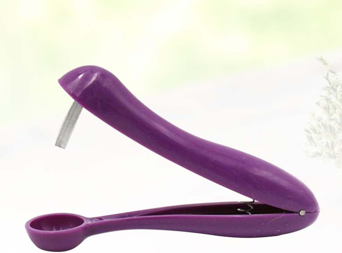 2pcs Cherry Corer Fruit Corer Kitchen Gadget Dual-head Pitter Tool for Home Kitchen Fruit and Vegetable Pit Removal