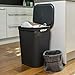 Rotho Brisen Wäschesammler 50l mit Deckel und Griffen, Kunststoff (PP) BPA-frei, anthrazit, 50l (43.1 x 34.0 x 52.9 cm)