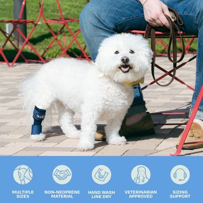 Miniatura 4 de Balto Tobillera canina y felina para perro, con férulas de aluminio, preposcirugía ayuda a apoyar la artritis y las articulaciones inestables,