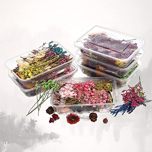 2 DIY Natürliche Getrocknet Blumen Set, Blumen Natürliche Gemischte, Gepresste Blumen Gemischte Getrocknete Blätter, Gepresste Blumen für DIY Art Craft Kartenherstellung (Gemischte Packung) Cover