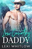 Low Country Daddy: A Surprise Baby Romance