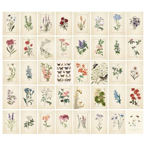 Image of Vintage Botanical Art Prints - Set of 40 Mini Posters (15x10 cm Each) | Floral Wall Art Kit | Aesthetic Botanical Prints for Gallery Wall, Bedroom, Study, Living Room | Unframed Nature-Themed Decor (A 007)