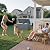 Flamaker Outdoor Storage Box 85 Gallon Resin Waterproof Deck Box with Wood Texture Large Storage Bin for Patio Cushions, (Grey)