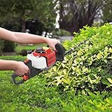 GDSKR B0FDQ5T7VH lato 4