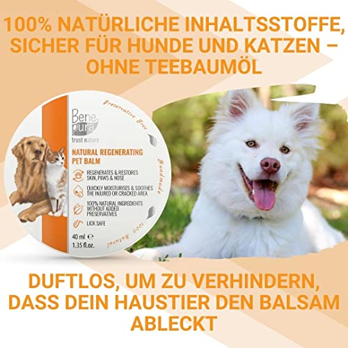 Pfotenbalsam Bene Pura Trust Nature für Hunde 40 ml