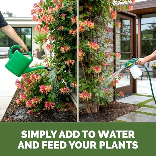 Fertilizante Líquido Honeysuckle 32 oz para Plantas miniatura 6
