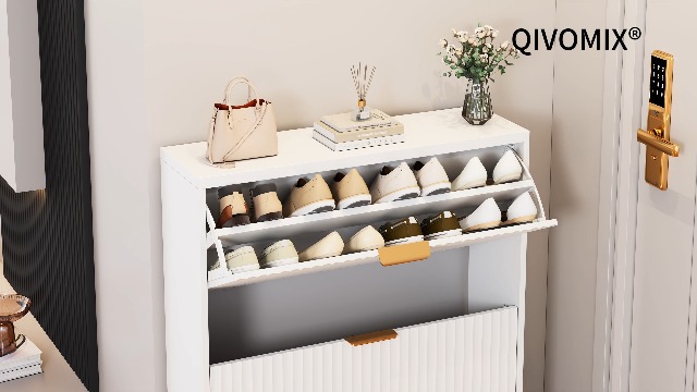 Amazon.com: QIVOMIX Shoe Cabinet Storage, Modern Freestanding