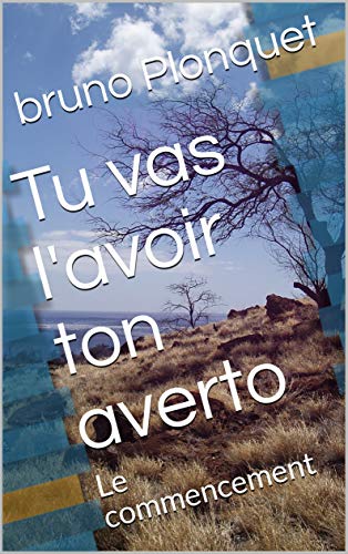 Tu vas l'avoir ton averto: Le commencement (French Edition)