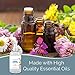 SMELLS BEGONE Air Freshener Home and Linen Spray - Odor Eliminator - Made with Essential Oils - Fresh Cotton Scent - 2 Pack - 16 Ounce